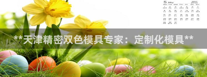 天天彩神welcome：**天津精密双色模具专家：定制化模具**