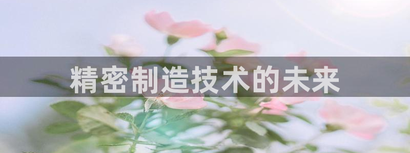 彩神v集团有限公司：精密制造技术的未来