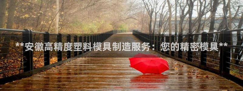 彩神输的钱是赌博还是诈骗：**安徽高精度塑料模具制造服务：您的精密模具**