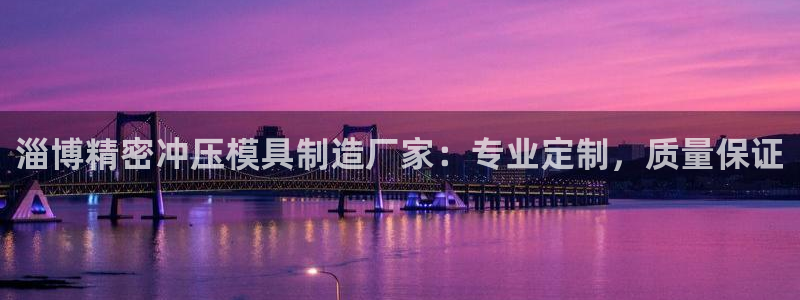 彩神v8iii：淄博精密冲压模具制造厂家：专业定制，质量保证