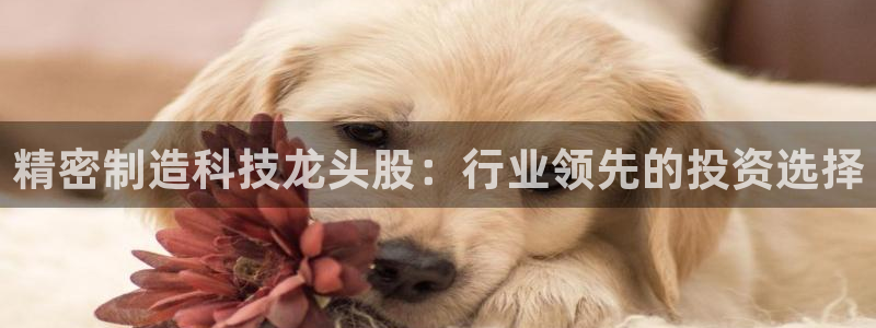 彩神v8app：精密制造科技龙头股：行业领先的投资选择