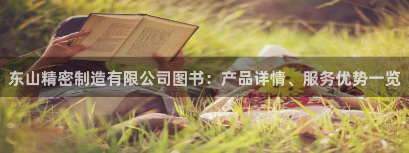 彩神vl购彩大厅：东山精密制造有限公司图书：产品详情、服务优势一览