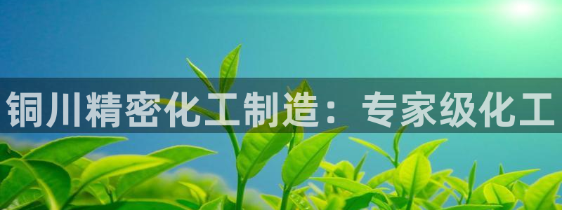 彩神vll首页企业文化：铜川精密化工制造：专家级化工