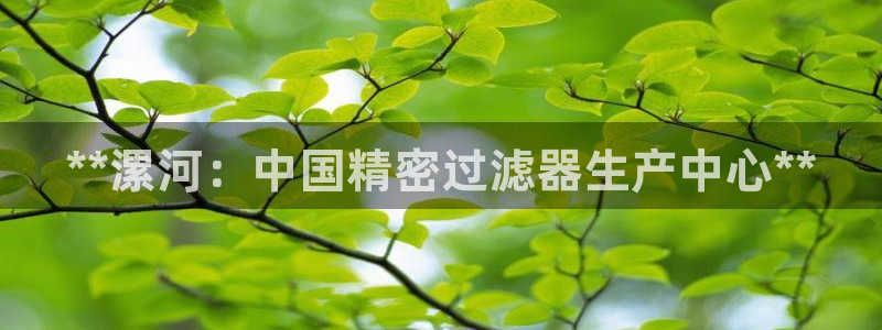 彩神vii官网：**漯河：中国精密过滤器生产中心**