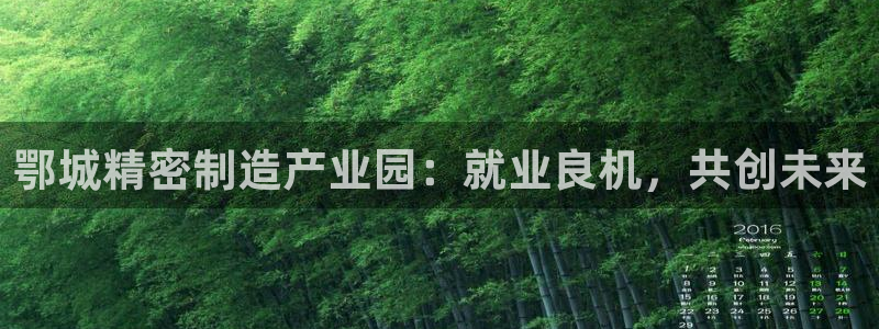 彩神的邀请码是多少：鄂城精密制造产业园：就业良机，共创未来