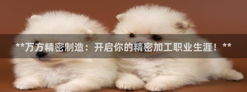 彩神购彩-购彩大厅入口下载：**万方精密制造：开启你的精密加工职业生涯！**