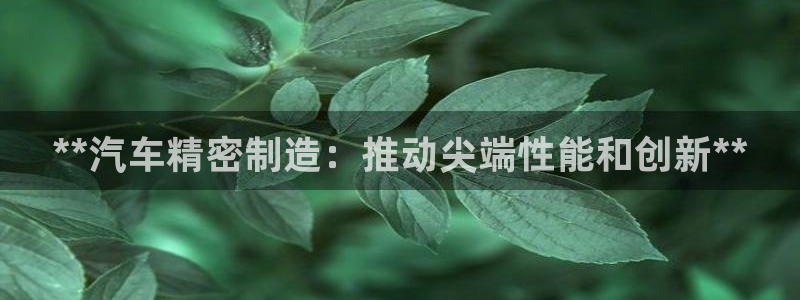 彩神8官网版：**汽车精密制造：推动尖端性能和创新**