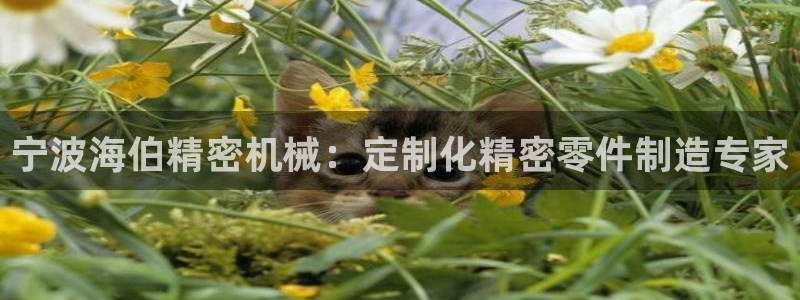 彩神v彩搜狗：宁波海伯精密机械：定制化精密零件制造专家