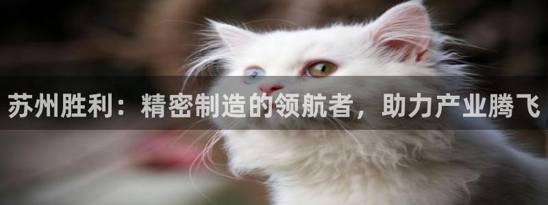彩神vip购彩大厅在哪：苏州胜利：精密制造的领航者，助力产业腾飞