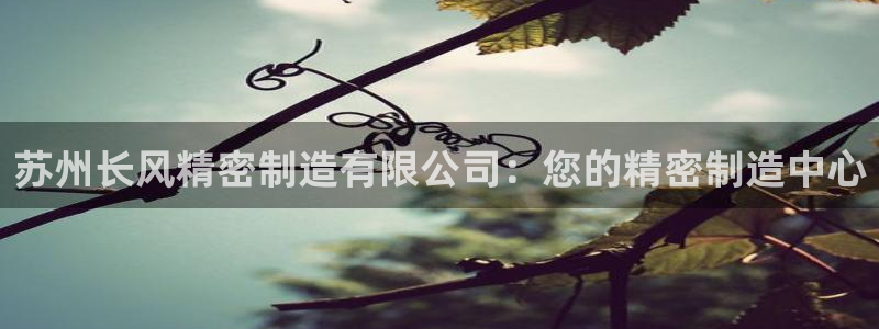 彩神v8是一个什么平台啊：苏州长风精密制造有限公司：您的精密制造中心