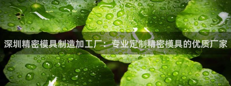 v彩神88iii：深圳精密模具制造加工厂：专业定制精密模具的优质厂家