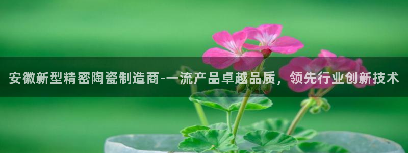 彩神争霸官方下载2017：安徽新型精密陶瓷制造商-一流产品卓越品质，领先行业创新技术