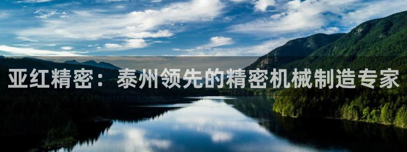 彩神网可以赚钱是真的吗：亚红精密：泰州领先的精密机械制造专家