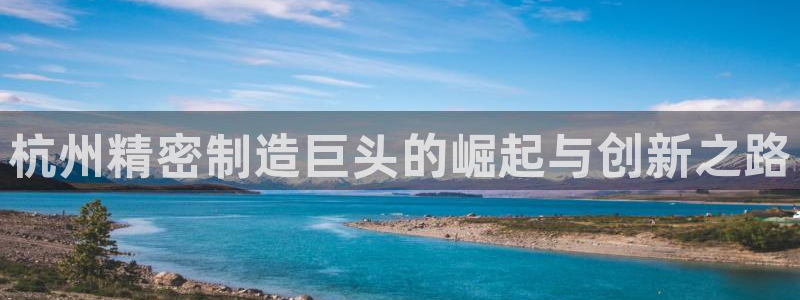 彩神vll首页企业文化：杭州精密制造巨头的崛起与创新之路