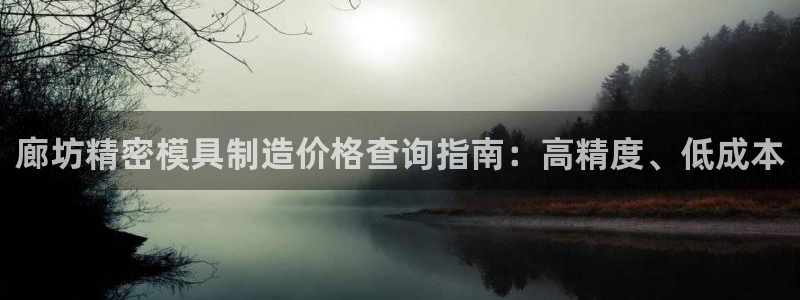 彩神8app官方下载：廊坊精密模具制造价格查询指南：高精度、低成本