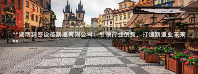 彩神vlll官方网：**湖南精密设备制造有限公司：引领行业创新，打造制造业未来
**