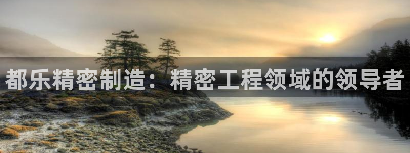 彩神vl官网：都乐精密制造：精密工程领域的领导者