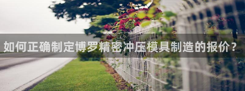 彩神购彩-购彩大厅入口500：如何正确制定博罗精密冲压模具制造的报价？