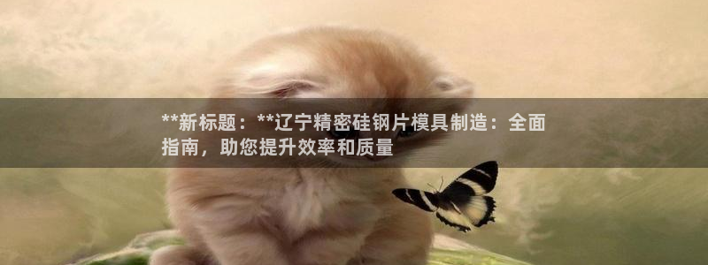 彩神的邀请码是多少：**新标题：**辽宁精密硅钢片模具制造：全面
指南，助您提升效率和质量