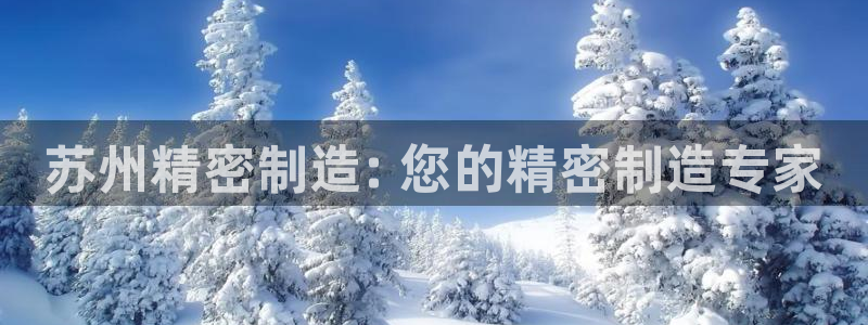 彩神平台：苏州精密制造: 您的精密制造专家