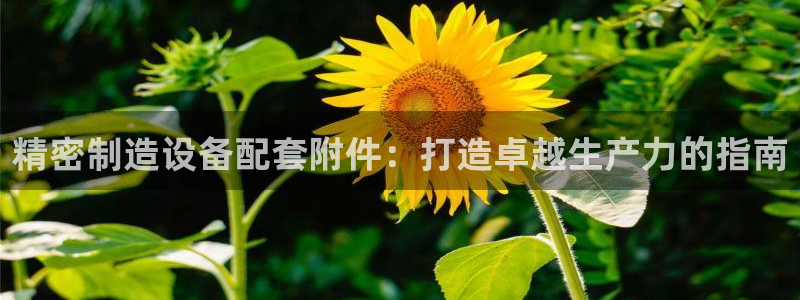 彩神争霸官方登录：精密制造设备配套附件：打造卓越生产力的指南