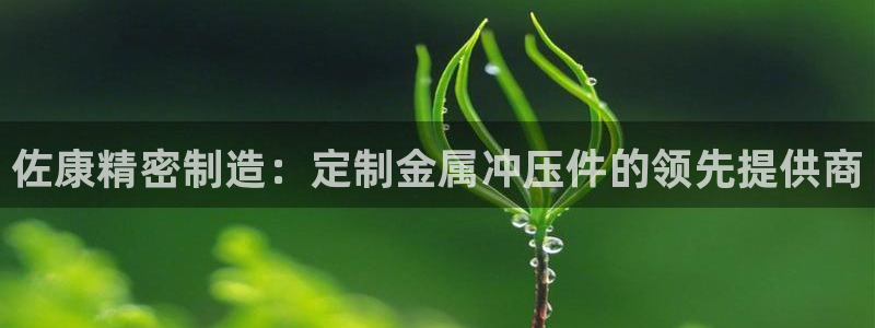 彩神8彩平台官网：佐康精密制造：定制金属冲压件的领先提供商