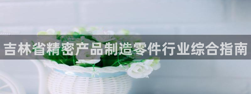 彩神v8app：吉林省精密产品制造零件行业综合指南