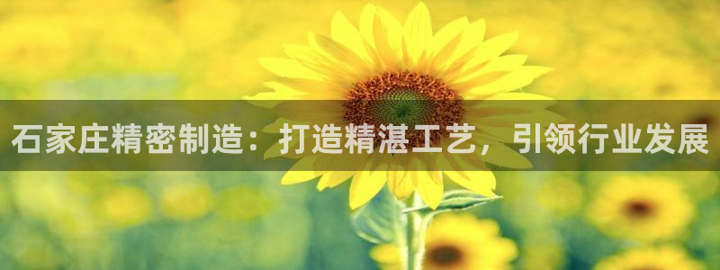 彩神v8下载app5.0：石家庄精密制造：打造精湛工艺，引领行业发展