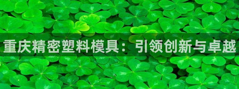 彩神是正规平台吗是真的吗：重庆精密塑料模具：引领创新与卓越