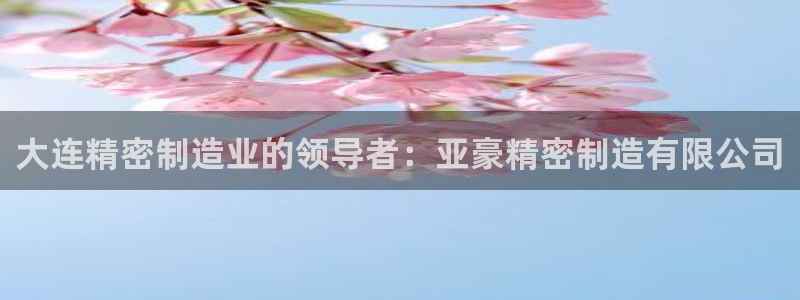 彩神旗下有哪些平台可以看：大连精密制造业的领导者：亚豪精密制造有限公司