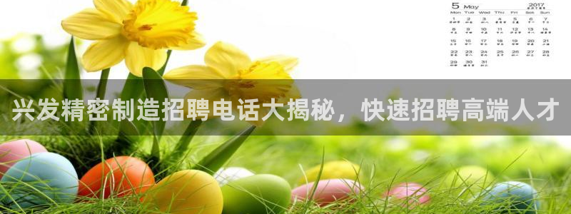彩神V集团有限公司：兴发精密制造招聘电话大揭秘，快速招聘高端人才