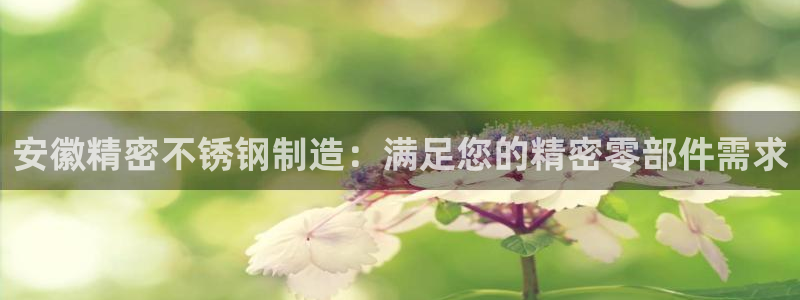 彩神vllⅰ购彩大厅：安徽精密不锈钢制造：满足您的精密零部件需求