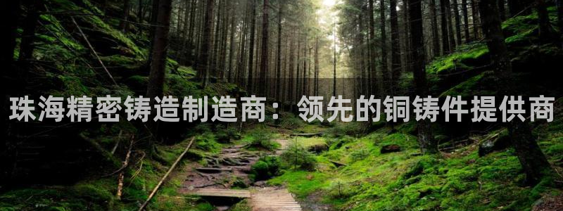彩神v彩搜狗：珠海精密铸造制造商：领先的铜铸件提供商