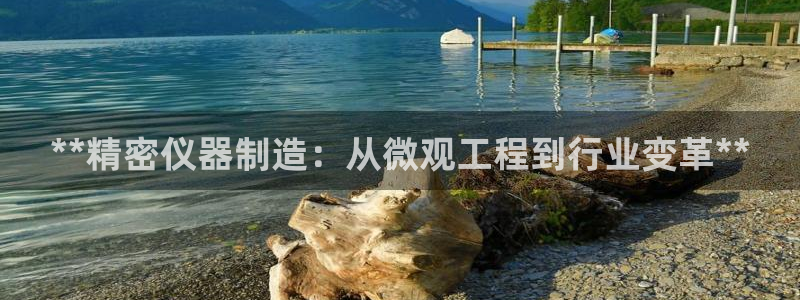 彩神V3大赢家：**精密仪器制造：从微观工程到行业变革**