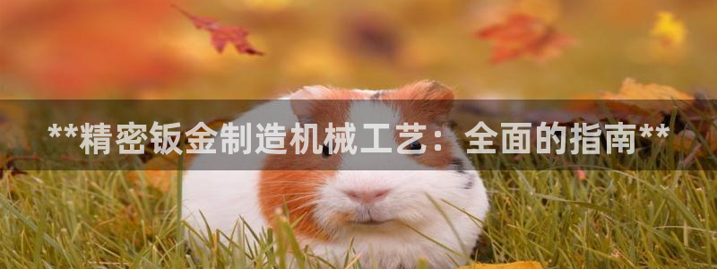 彩神vll首页环球：