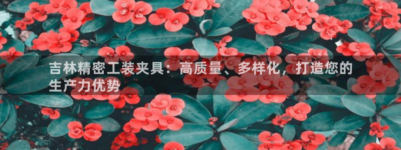 彩神用户登录：吉林精密工装夹具：高质量、多样化，打造您的
生产力优势
