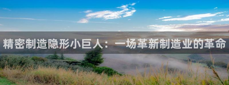彩神可以提现吗：精密制造隐形小巨人：一场革新制造业的革命