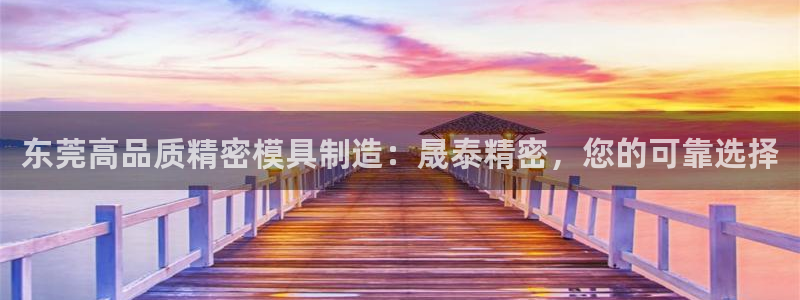 彩神ll能赚钱吗：东莞高品质精密模具制造：晟泰精密，您的可靠选择