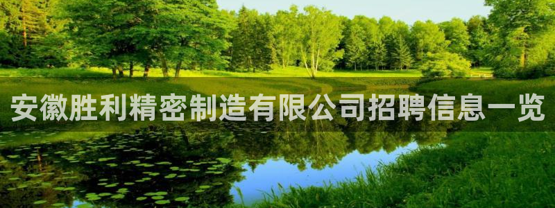 彩神v秘聊号码：安徽胜利精密制造有限公司招聘信息一览