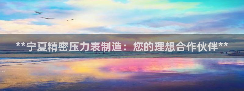 彩神用户登录：**宁夏精密压力表制造：您的理想合作伙伴**