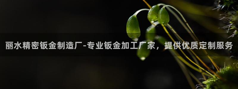 彩神是什么平台的游戏：丽水精密钣金制造厂-专业钣金加工厂家，提供优质定制服务