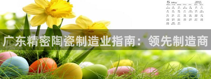 彩神平台注册登录：广东精密陶瓷制造业指南：领先制造商