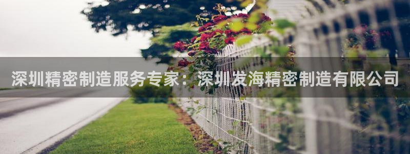 彩神是什么平台的游戏
