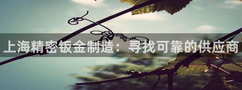 彩神大发三期计划网站：上海精密钣金制造：寻找可靠的供应商